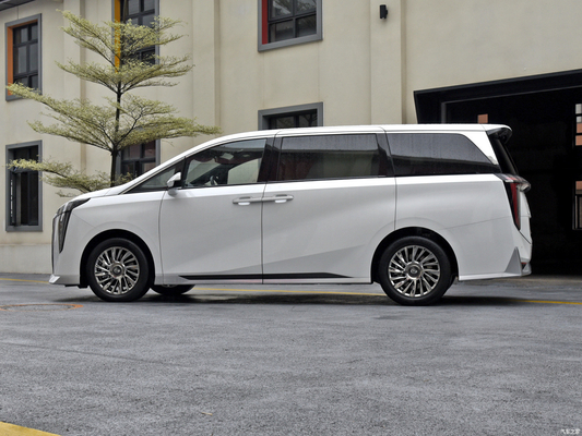 Trump Gacchi M8 ABS equipaggiato elettrico leggero cuoio Turbo tetto solare Mpv Veicolo per adulti
