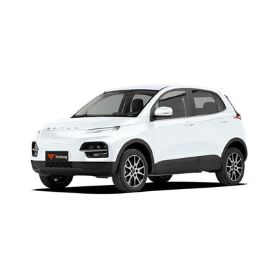 DAYUN M1 veicoli energetici auto elettrica auto per adulti lusso 2023 Yuehu ES3 300 km EV a lungo raggio