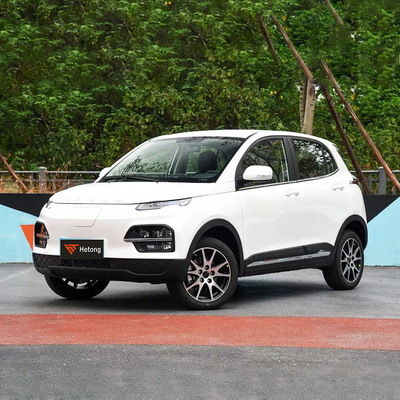 DAYUN M1 veicoli energetici auto elettrica auto per adulti lusso 2023 Yuehu ES3 300 km EV a lungo raggio