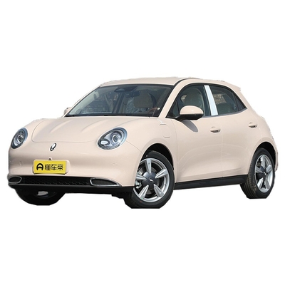 Haomao Mini Electric Car Ora's 401km Range Special Energy Vehicle per autisti adulti