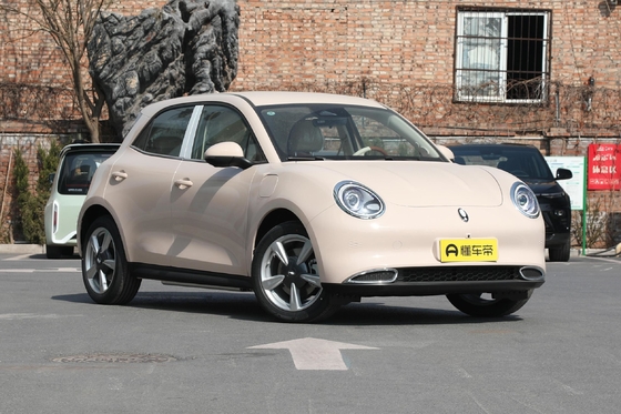 Haomao Mini Electric Car Ora's 401km Range Special Energy Vehicle per autisti adulti