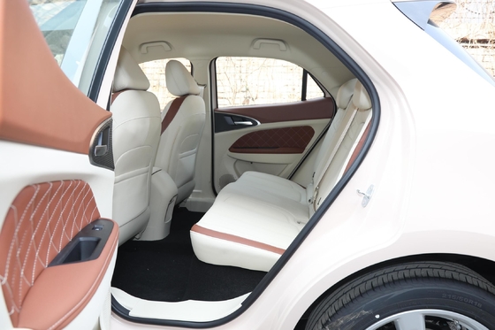 Haomao Mini Electric Car Ora's 401km Range Special Energy Vehicle per autisti adulti