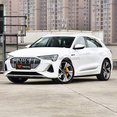 Veicolo energetico Audi E-Tron Potenza massima 230kW Peso del veicolo 2625kg dal cinese