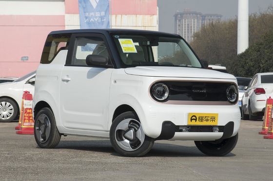 Potenza massima kw 40 Energy Cars Panda Mini 2023 2023ev Geely Pc 2023evev Chinese Electric Ev Car