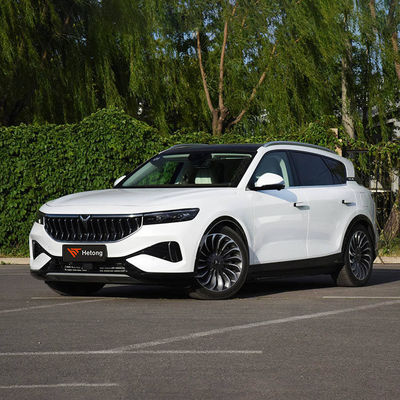 Veicolo elettrico ad alta velocità EV con ricarica rapida VOYAH GRATUITO 2020-2023 ≥500Nm 5 posti