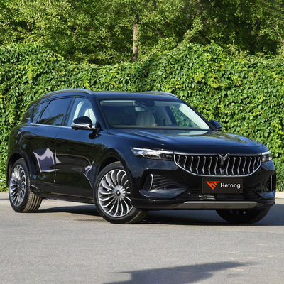 Veicolo elettrico ad alta velocità EV con ricarica rapida VOYAH GRATUITO 2020-2023 ≥500Nm 5 posti