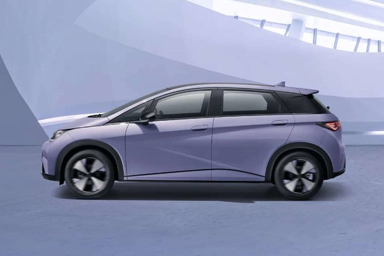Veicolo elettrico puro Byd Haitun Dolphin Energy con batteria al litio ferro fosfato