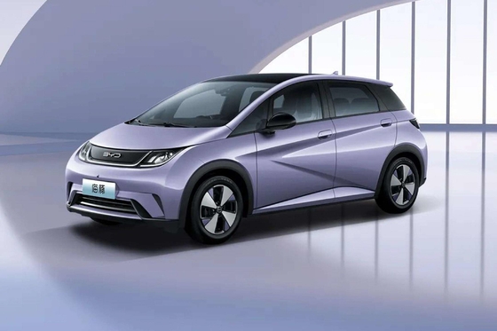 Veicolo elettrico puro Byd Haitun Dolphin Energy con batteria al litio ferro fosfato