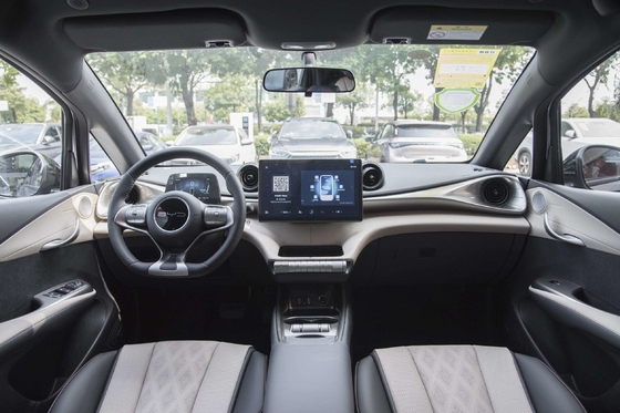 Veicolo elettrico puro Byd Haitun Dolphin Energy con batteria al litio ferro fosfato