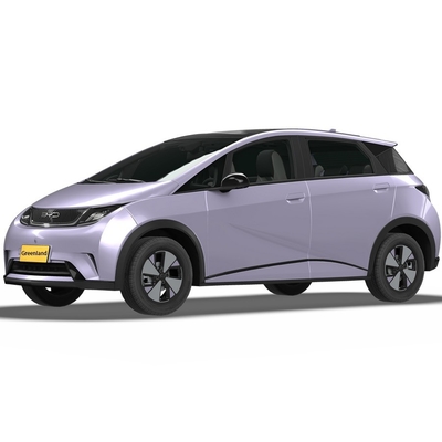 Veicolo elettrico puro Byd Haitun Dolphin Energy con batteria al litio ferro fosfato