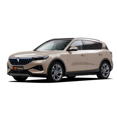2023 4WD VOYAH GRATUITO Extended Range Esclusivo Luxury Electric Car ev suv puro 505kw 631kw