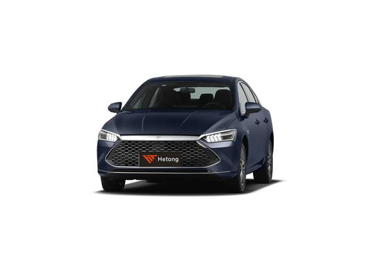 BYD Qing Plus DM-i55km Batteria al litio ternario 333 Ps Auto elettrica a motore per personale