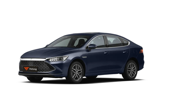 BYD Qing Plus DM-i55km Batteria al litio ternario 333 Ps Auto elettrica a motore per personale