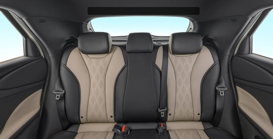 Byd Dolphin 2021 301km Vitality Edition EV Volante sinistro Tempo di ricarica veloce 0,5 ore