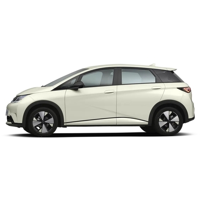 Byd Dolphin 2021 301km Vitality Edition EV Volante sinistro Tempo di ricarica veloce 0,5 ore