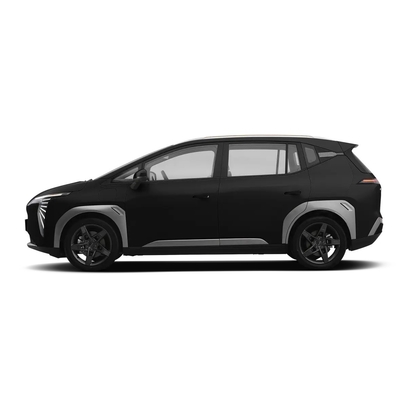 Aion Y 2022 80 Executive Edition SUV elettrico con 5 posti