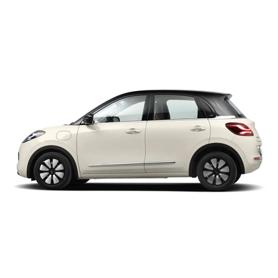 Miglior vendita Wuling Bingo Mini Veicoli Auto elettrica 2023 Verde o altri 4 posti
